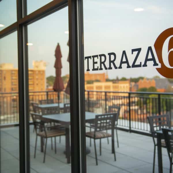 Terraza 6